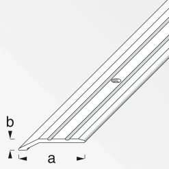 Flach-Abschlussprofil 30 x 5 mm 1m titan ^ Alfer Clearance