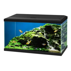 Aquarium Aqua 60 LED 58 L schwarz 60 x 30 x 33,5 cm ^ Discount