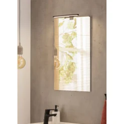 BADMOBIL Spiegel LINUS 45 x 70 x 1,4 cm ^ Online
