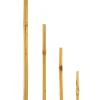 Bambusstab 60 cm ^ Hot