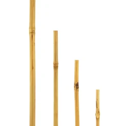 Bambusstab 60 cm ^ Hot