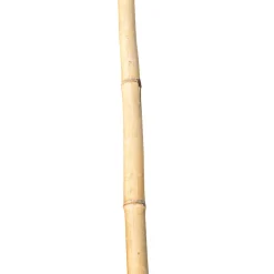 Bambusstab 60 cm ^ Hot