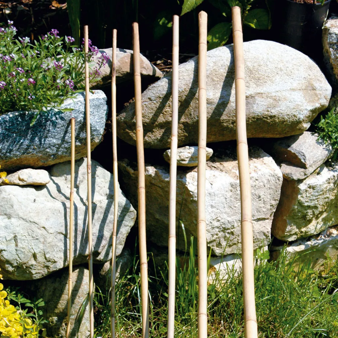 Bambusstab 120 cm ^ Clearance