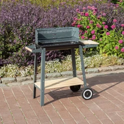 Holzkohlegrill Austin ^ Basic New
