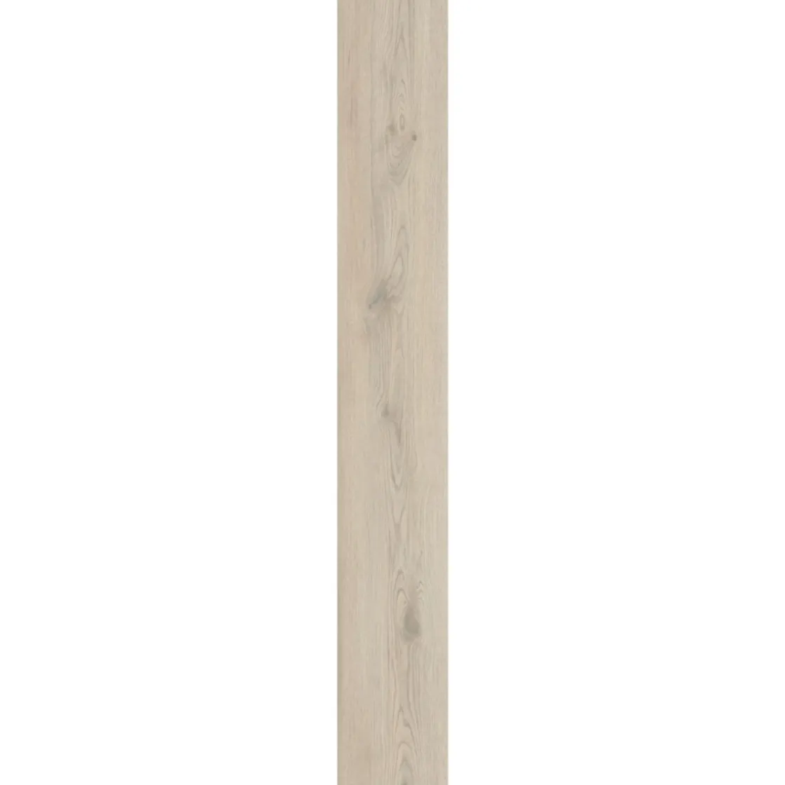 SPC Rigid Designboden Eiche beige 1220x181x3,2 ^ Basic Online