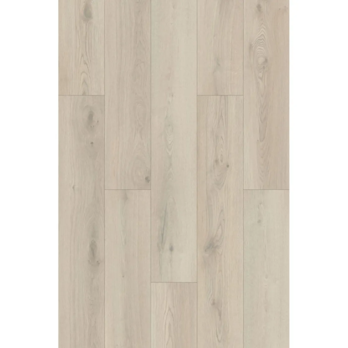 SPC Rigid Designboden Eiche beige 1220x181x3,2 ^ Basic Online