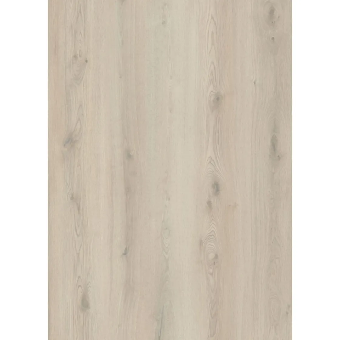 SPC Rigid Designboden Eiche beige 1220x181x3,2 ^ Basic Online