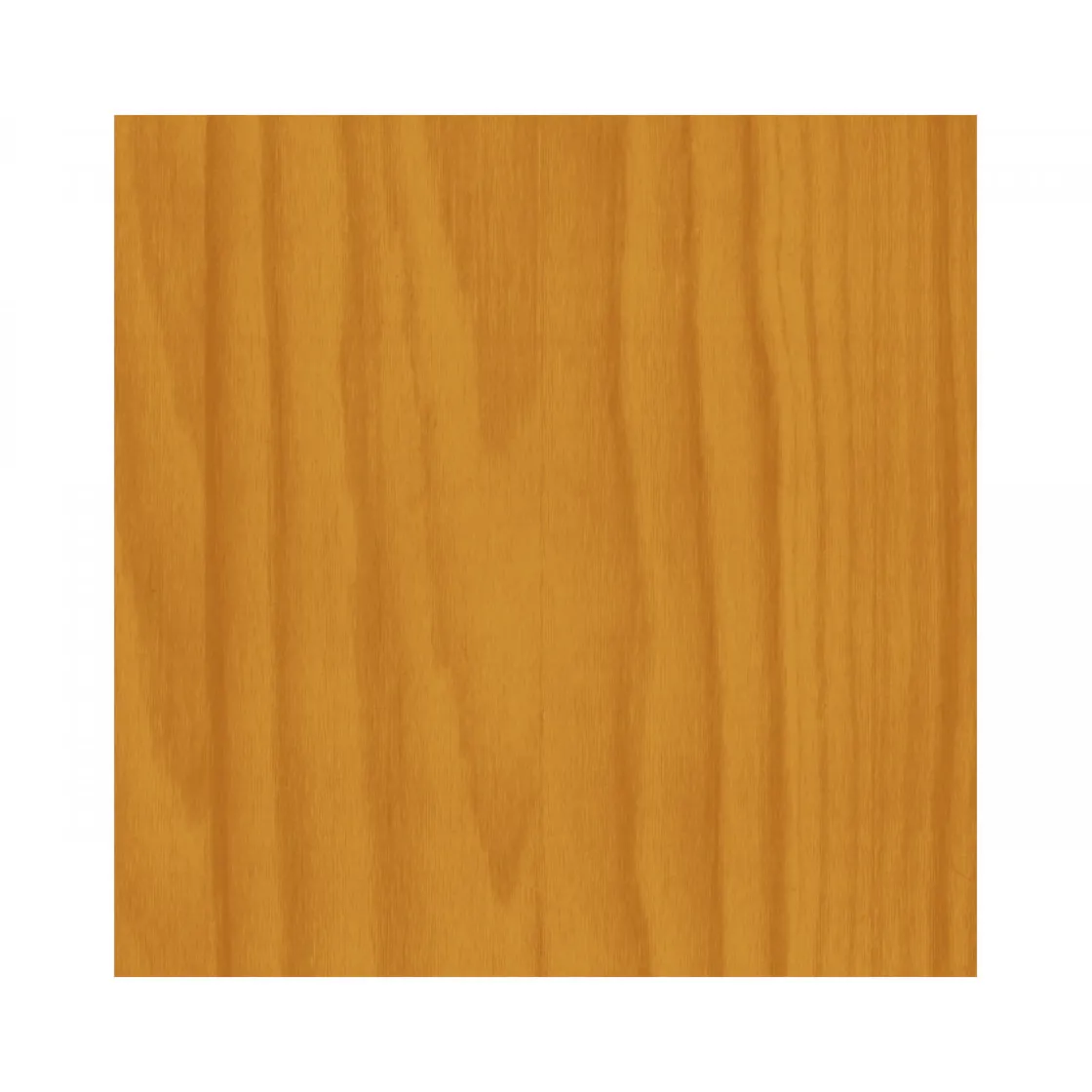 Zaunlasur 5 L ^ Basic Hot