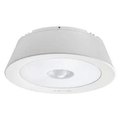 Batteriebetriebene Leuchte MB981 ^ Hot