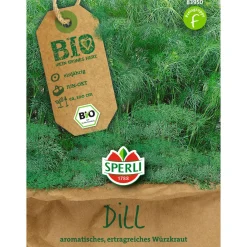 Bio-Kräuter Dill 100 cm ^ Hot
