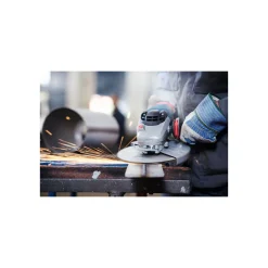 Schruppscheibe für Metall 125 x 6 mm ^ Bosch Professional