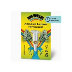 Hanfsamen Amnesia Lemon Fem ^ Bud Voyage Hot