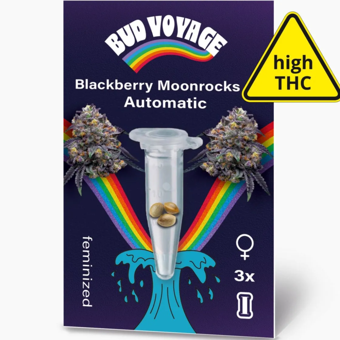 Hanfsamen Blackberry Moonrocks Auto ^ Bud Voyage Clearance