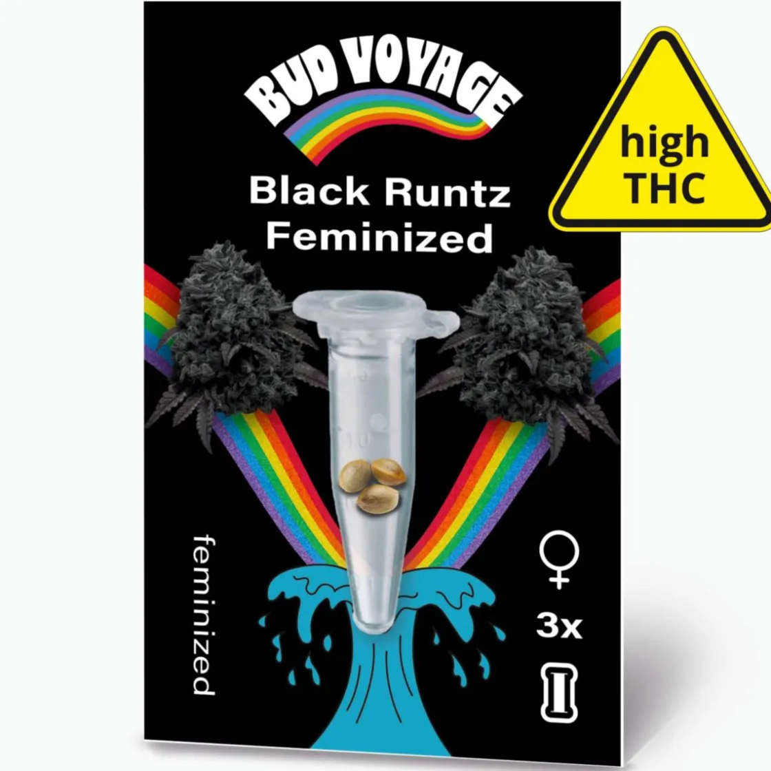Hanfsamen Black Runtz Feminisiert ^ Bud Voyage Outlet