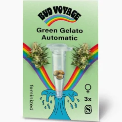 Hanfsamen Green Gelato Auto ^ Bud Voyage