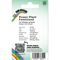Hanfsamen Kreativer Geist - Power Plant ^ Bud Voyage Sale