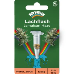 Hanfsamen Lachflash - Jamaican Haze ^ Bud Voyage Hot
