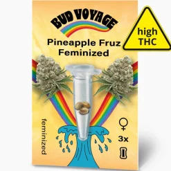 Hanfsamen Pineapple Fruz Feminisiert ^ Bud Voyage