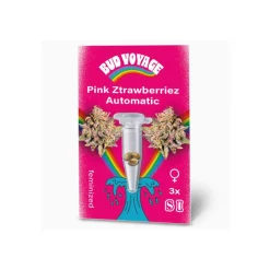 Hanfsamen Pink Ztrawberriez Auto ^ Bud Voyage New