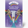 Hanfsamen Purple Haze Feminisiert ^ Bud Voyage Outlet