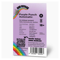 Hanfsamen Purple Punch Auto ^ Bud Voyage Hot