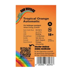 Hanfsamen Tropical Orange Auto ^ Bud Voyage Best