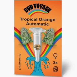 Hanfsamen Tropical Orange Auto ^ Bud Voyage Best
