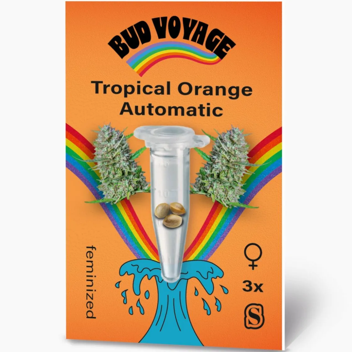 Hanfsamen Tropical Orange Auto ^ Bud Voyage Best
