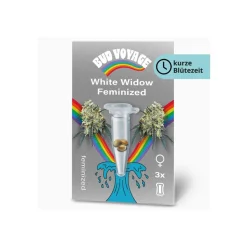 Hanfsamen White Widow Fem ^ Bud Voyage Online