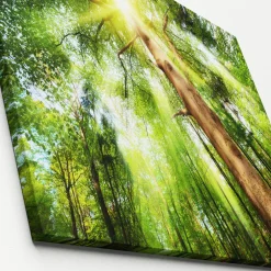 Canvas-Art Wald 60 x 80 cm ^ Pro-Art