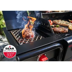 CBGas2Coal 2.0 330 Special Edition ^ Char-Broil Best