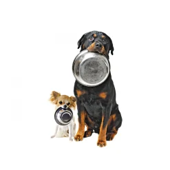 Hundesnack Seezunge 100 g ^ Champs
