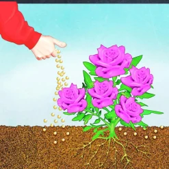 BIO Rosen Langzeit-Dünger mit Schafwolle ^ Compo