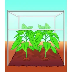 BIO Tomaten- und Gemüseerde torffrei 40 L ^ Compo Best