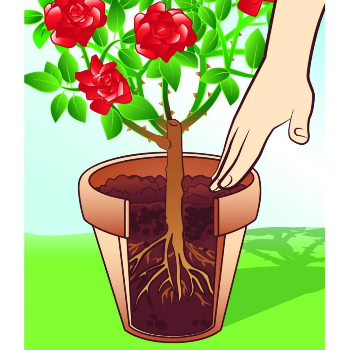 BIO Universal-Erde torffrei 30 L ^ Compo Online