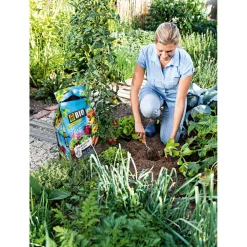 BIO Universal-Erde torffrei 30 L ^ Compo Online