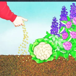 BIO Universal Langzeit-Dünger mit Schafwolle 2 kg ^ Compo Best