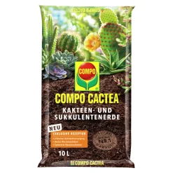 CACTEA Kakteen- und Sukkulentenerde ^ Compo Sale
