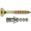 Universalschraube mit Dübel Torx 510 Stück ^ Connex New