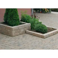 Cup Mauer Muschelkalk 30/10/10 cm PE3 ^ Diephaus Hot