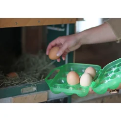 Eier-Transportbox für 12 Eier grün ^ Kerbl Clearance