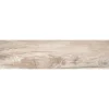 Feinsteinzeug-Platte No.1 Tile Nebraska Elm ca. 30x120 cm ^ New