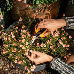 Gartenschere Solid Micro-Tip SP130 ^ Fiskars Discount