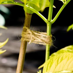 Flachs Gartenschnur ^ Windhager