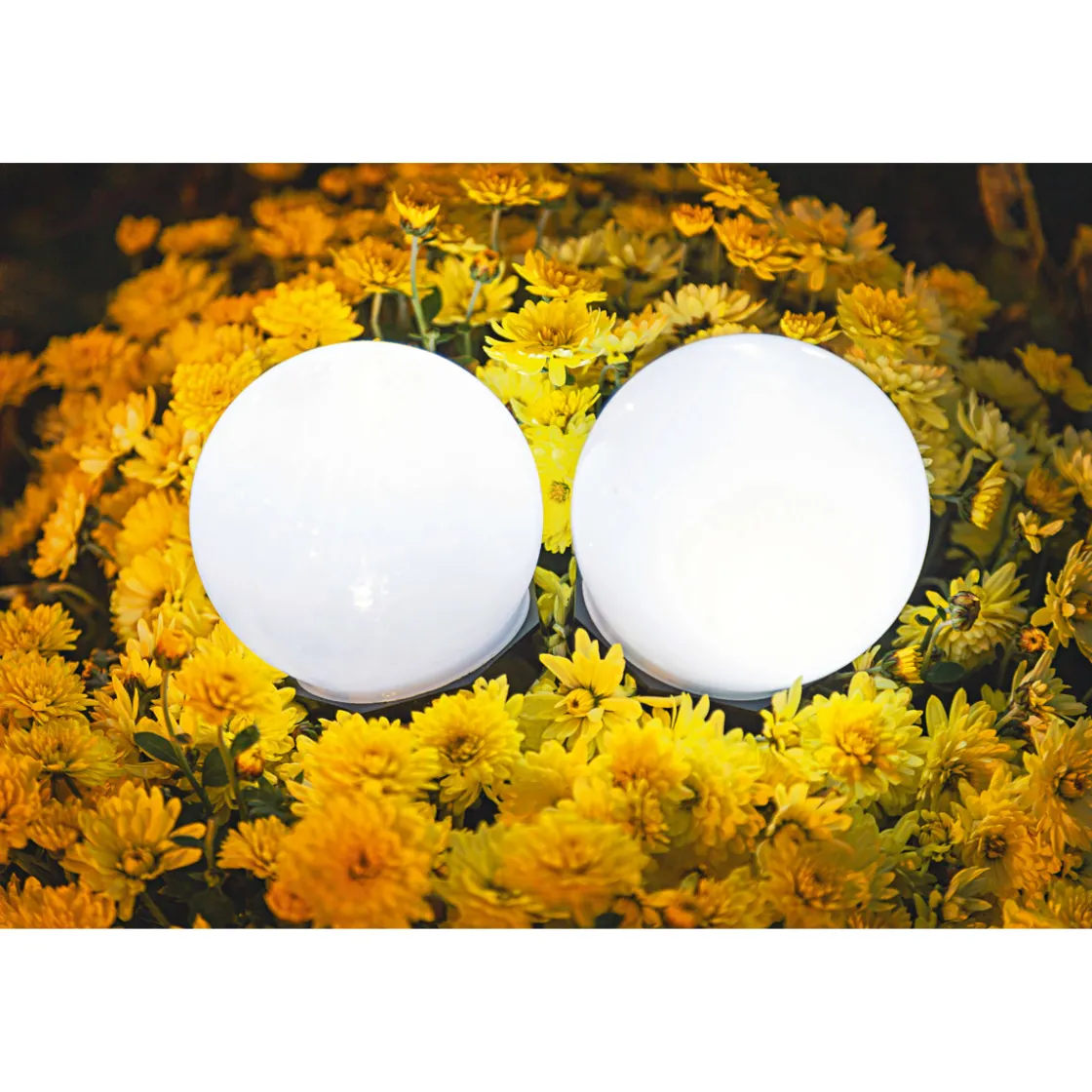 LED-Solar-Kugelleuchte schwarz 10 x 33 cm ^ Flector Garten Clearance
