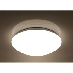 LED-Wand- und Deckenleuchte Sandy dimmbar 30 cm ^ Flector Discount