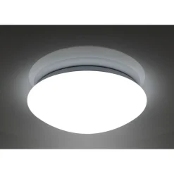 LED-Wand- und Deckenleuchte Sandy dimmbar 30 cm ^ Flector Discount