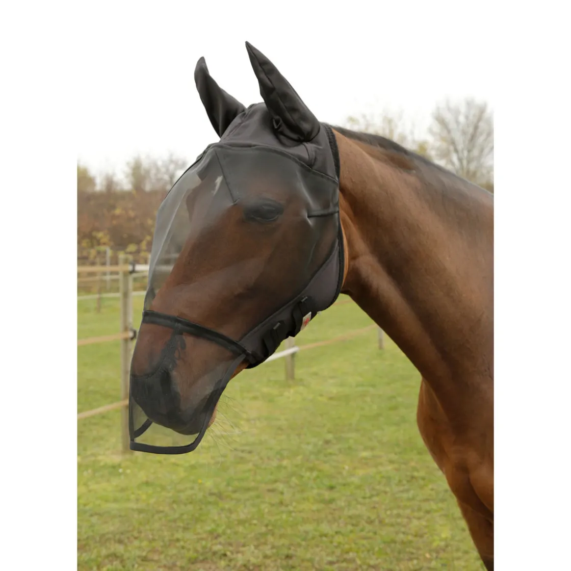Fliegenschutzmaske Pony schwarz mit Fleecepolsterung ^ Hot
