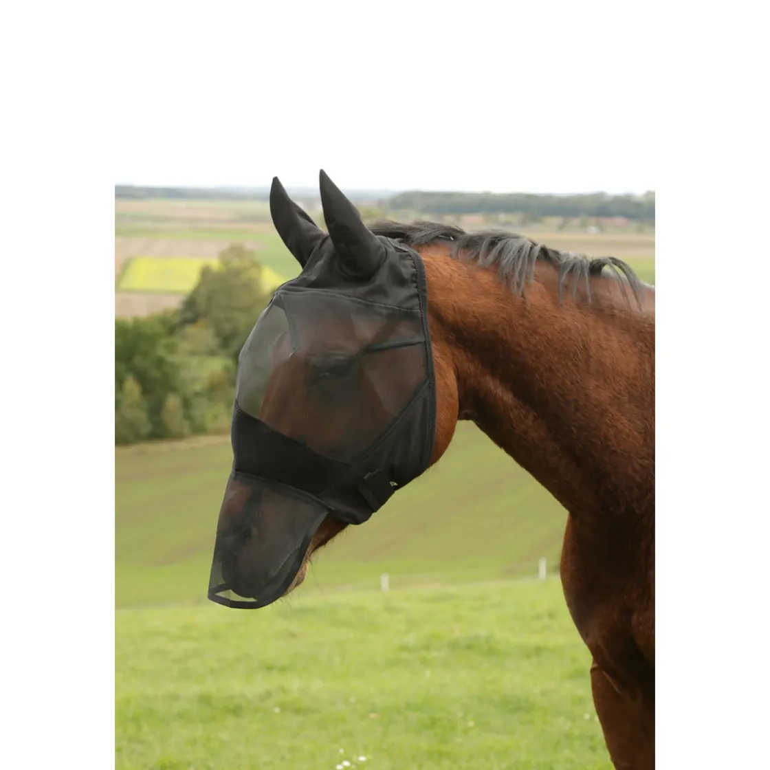 Fliegenschutzmaske Pony schwarz mit Fleecepolsterung ^ Hot