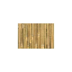 Sichtschutz Classic Bambushalbschale 3,0x0,9 m ^ floraworld Clearance